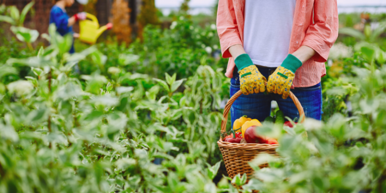 FPT2123 TEKNOLOGI LEPAS TUAI - SBL3<span class="highlight">.</span> SBF4