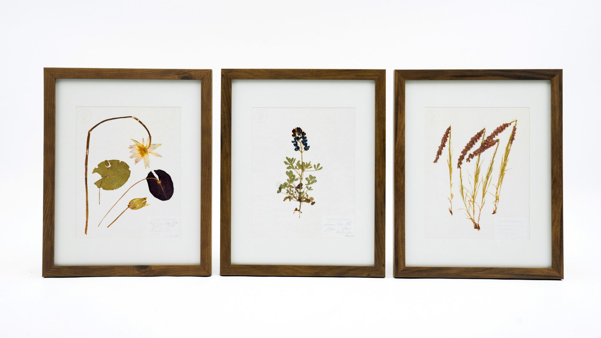 FSE30103 PERTANIAN DAN PENGURUSAN SUMBER - SBF3